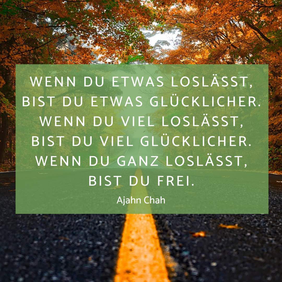 Loslassen-Challenge-Entspannung-mit-Waldbaden Die kostenlose Loslassenchallenge mit Waldbaden