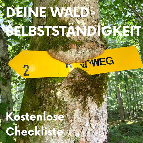 kostrenlose Waldbusiness Checkliste für deine Wald-Selbstständigkeit