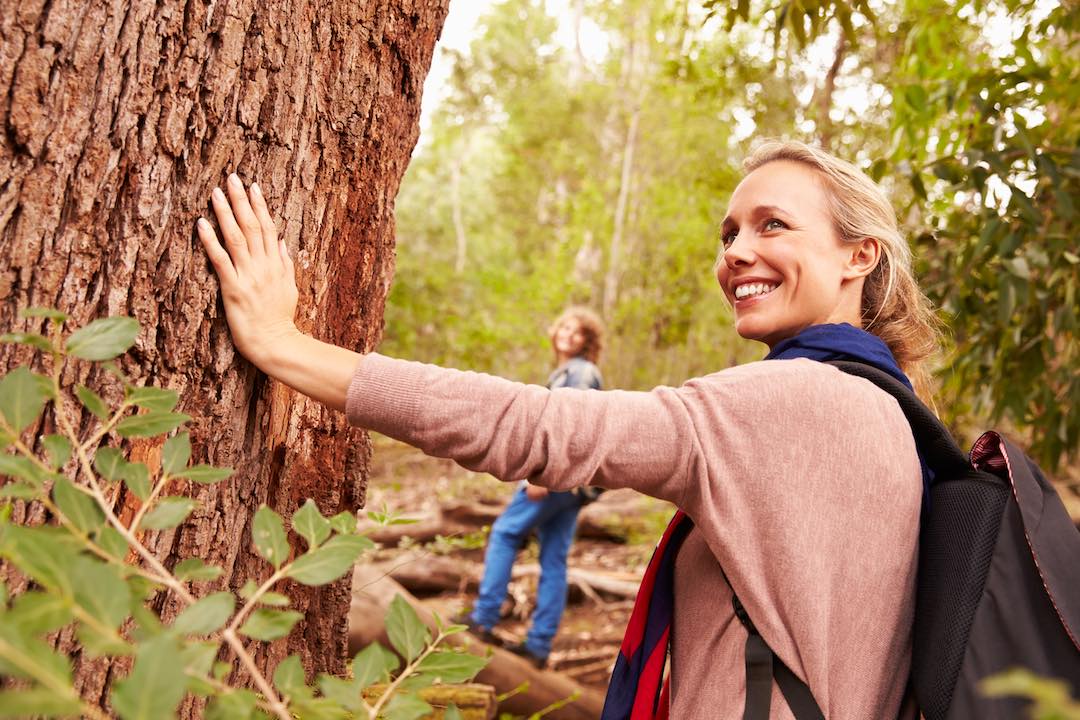 Ausbildung Waldbaden bei achtsame Walderlebnisse Ausbildung-Waldbaden-achtsame-Walderlebnisse