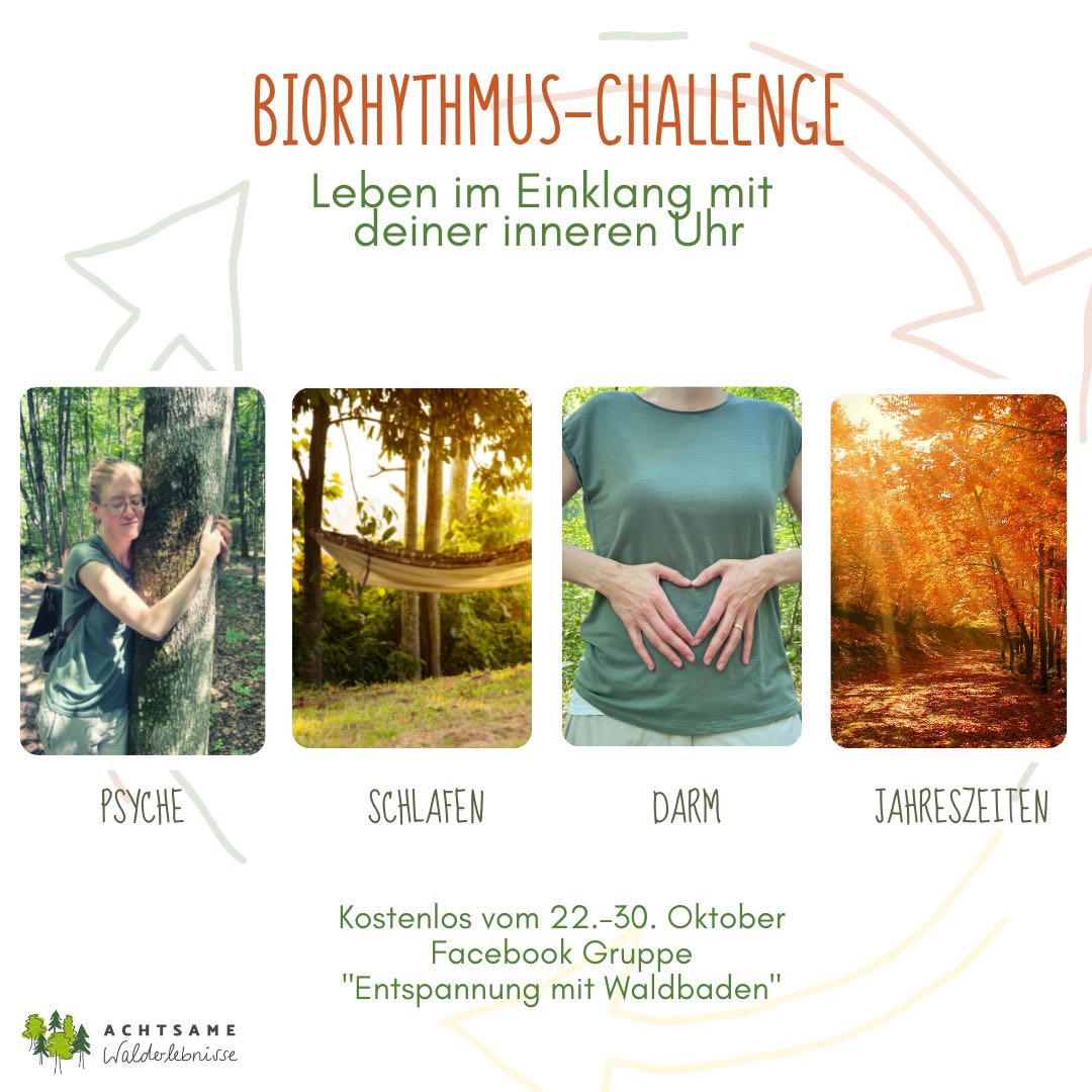 Biorhythmus-Challenge achtsame Walderlebnisse