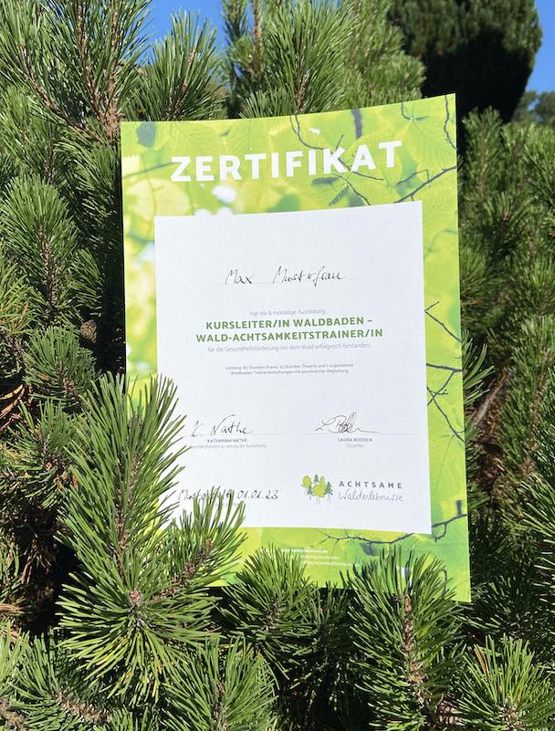 Zertifikat Waldbaden Kursleiter/in von achtsame Walderlebnsise