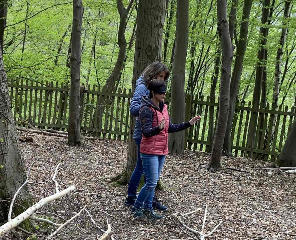 Praxisorientierte Ausbildung Zum Zertifzierten Kursleiter Waldbaden