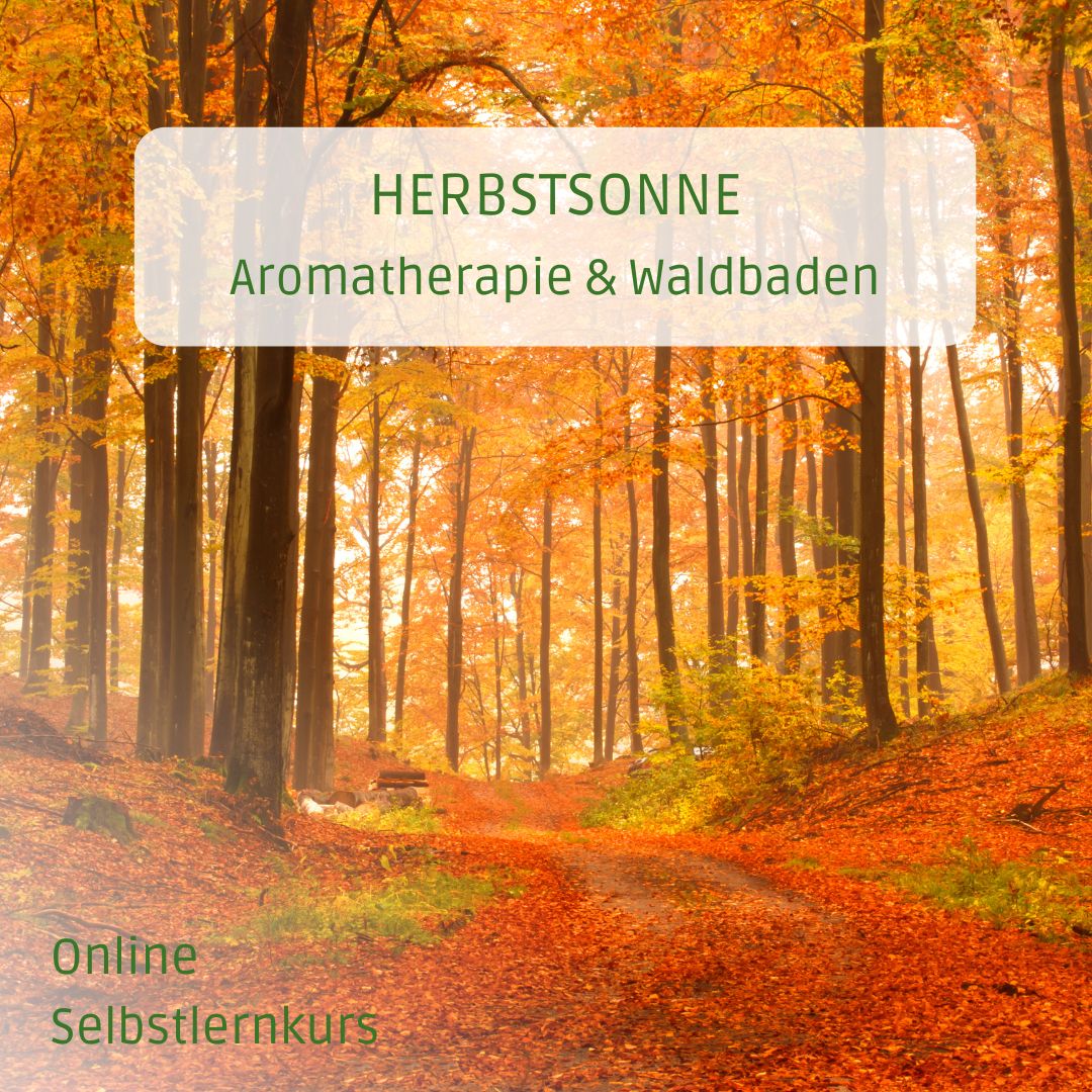 Herbst - Selbstlernkurs - Waldbaden & ätherische Öle - achtsame Walderlebnisse