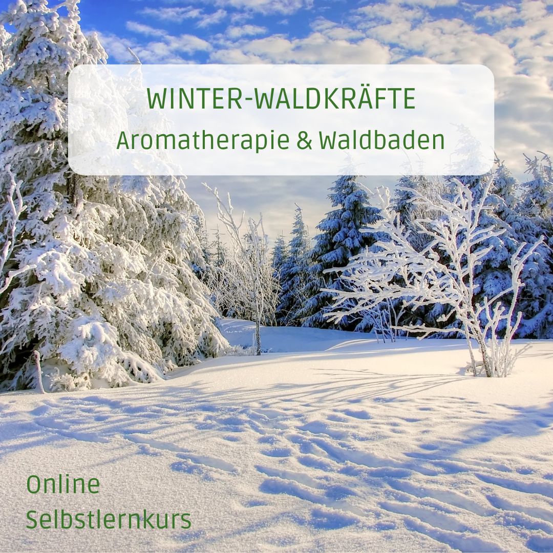 Winter - Selbstlernkurs - Waldbaden & ätherische Öle - achtsame Walderlebnisse