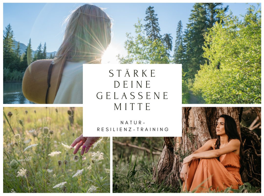 Natur-Resilienz-Training "Stärke deine gelassene Mitte" - achtsame Walderlebnisse