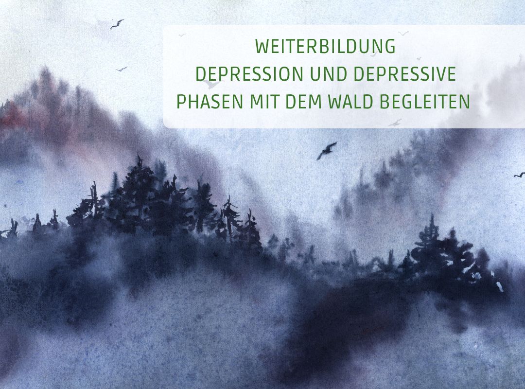 Weiterbildung "Depression und depressive Phasen mit dem Wald begleiten" - von achtsame Walderlebnisse