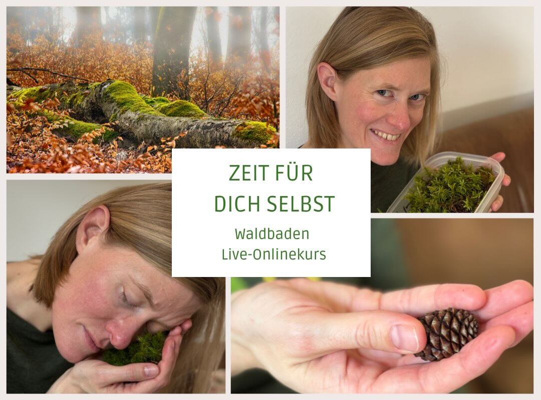 Waldbaden Onlinekurs "Zeit für dich Selbst"